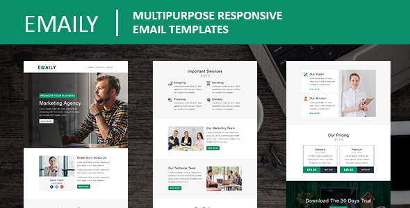 Emaily - Multipurpose Responsive Email Template With Online StampReady Builder Access
       TFx Fulton Hardy