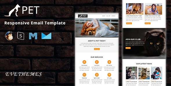 PET - Responsive Email Template
       TFx Isiah Leith